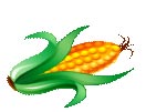 Corn boil